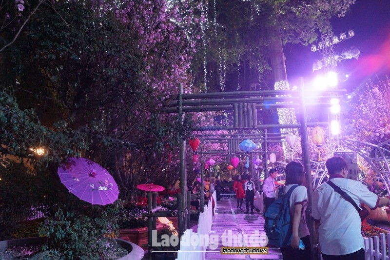 2549 5825 DSC07107